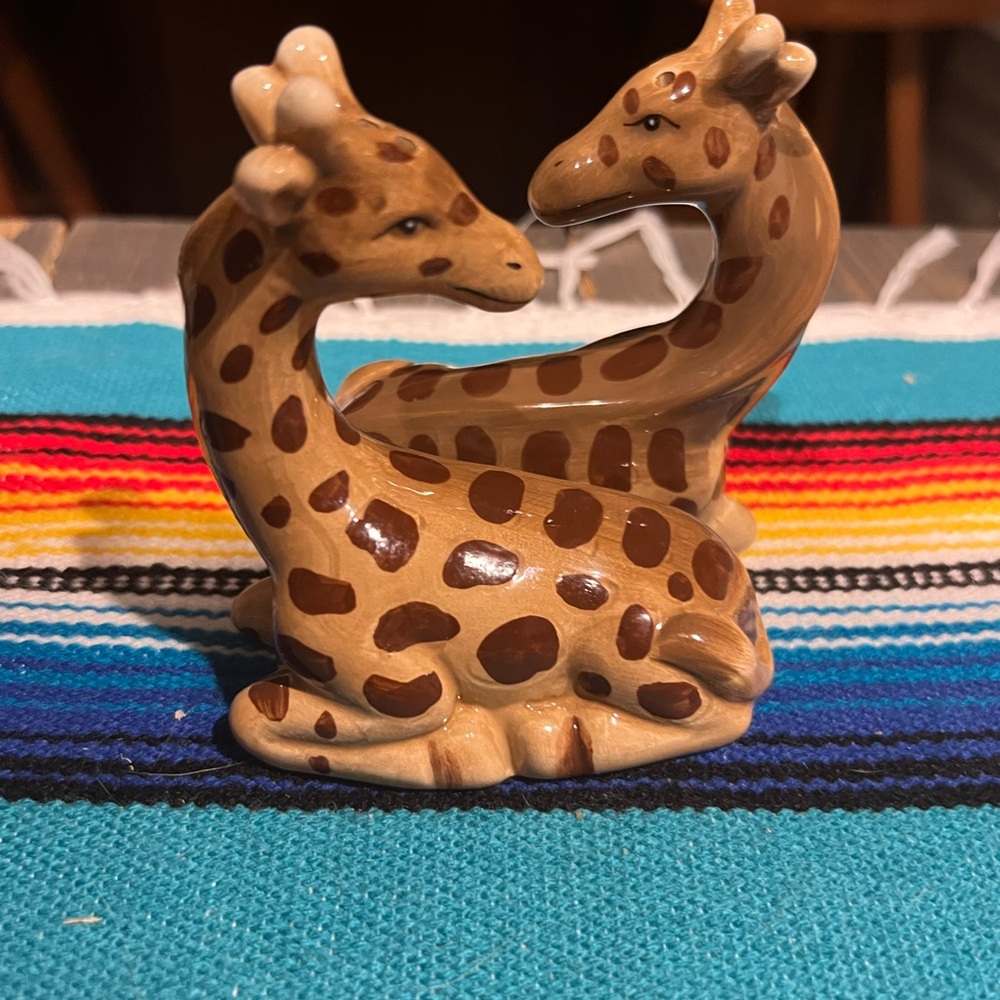 Brown Giraffe Salt & Pepper Shakers - Picture 4 of 5